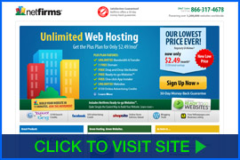 Screenshot of NetFirms homepage. Click image to visit site.
