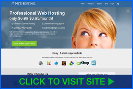 Screenshot of NetHosting homepage. Click image to visit site.